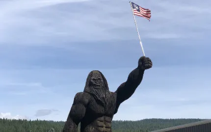 Big Foot